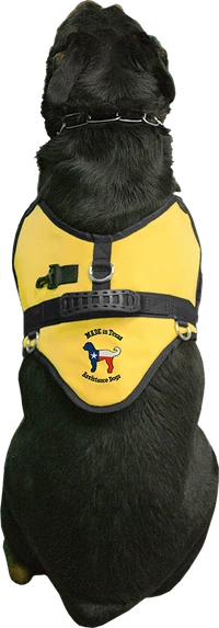 Personalized working dog harness with handle