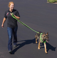 EEZWALKER Built-In Poop Bag Leash