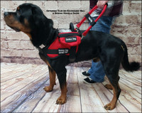 Service Dog Gear Pouch with D-Ring Attachment