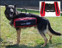 Service Dog in Oxygen Vest