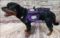 Service Dog Clip-on Large Bag w/ ID Window