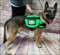 Service Dog Storage Bag with Clear ID Holder