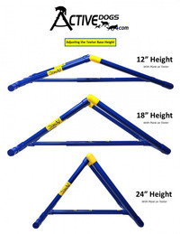 Agility Adjustable SeeSaw Teeter Base