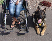 Wheelchair Pulling Leash