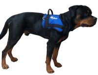 Custom Logo Service Dog Form Fitted Active Cut Vest