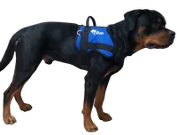 Lightweight form-fitted Service Dog harness with logo