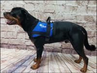 Active Cut Service Dog harness with embroidered logo