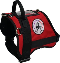 Custom text Service Dog vest with breathable Air-Tech lining