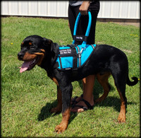 Flexible padded bridge handle compatible with ActiveDogs service dog vests