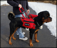 Soft neoprene grip service dog bridge handle for mobility assistance