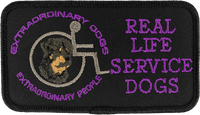 Professional logo patch with detailed embroidery