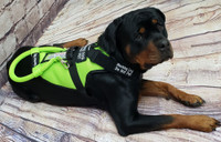 Spacer Mesh Active Cut Service Dog Harness Vest