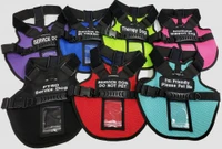 Cushioned Service Dog vest with molded control handle