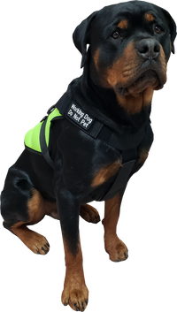 Spacer Mesh Active Cut Service Dog Harness Vest