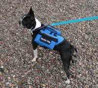Small dog vest with two storage bags