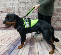 Spacer Mesh Service Dog Credential Holder