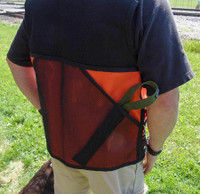 Dog training vest with ball pocket