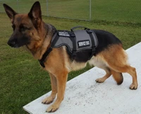 Service Dog harness with two expandable side bags
