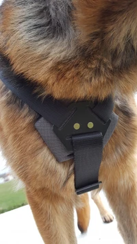 Working dog harness with molded handle and D-rings