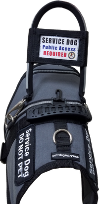 Clear vinyl ID pocket for service dog harness