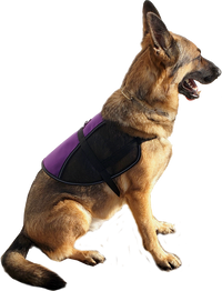 Custom Logo/Text  Service Dog Vest - Hybrid Mesh Vest
