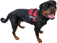 Padded Cordura Air-Tech Service Dog harness