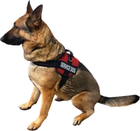 Lightweight Mesh Air-Tech Service Dog vest