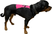 Service Dog Vest - Hybrid Mesh Vest