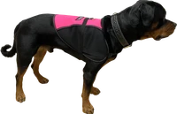 Hybrid cape style Service Dog vest