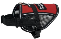 Lightweight summer Service Dog mesh vest