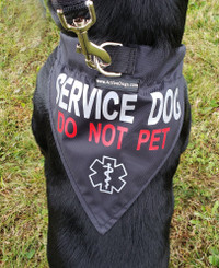Service Dog Reflective Bandana Dog Collar