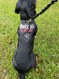 Service Dog Reflective Bandana Dog Collar