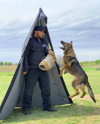 Black Schutzhund protection blind