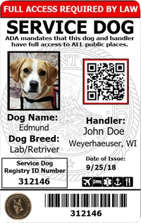 Service Dog identification card with clip-on holder