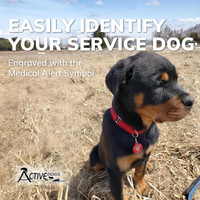 Red service dog ID tag