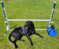 Agility Low-Gravity Medium Sand Bag Holds 20#