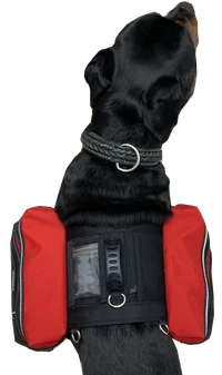 Working dog vest with heavy-duty D-rings