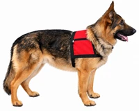 Service Dog vest with storage pocket
