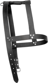 Leather H-Harness