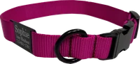 Heavy duty personalized nylon dog collar