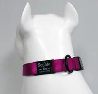 1 inch dog collar with engraved identification