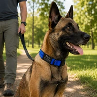 Personalized 1 inch nylon dog collar