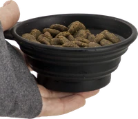 Tag Along Collapsible Dog Bowl
