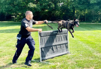 IGP/IPO/Schutzhund Aluminum Deluxe Hurdle Jump