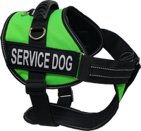 Service Dog Kit - Padded Harness Vest - Bridge Handle & ADA Cards