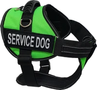 Service Dog Kit - Padded Harness Vest - Bridge Handle & ADA Cards