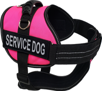 Service Dog Kit - Padded Harness Vest - Bridge Handle & ADA Cards