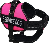 Service Dog Kit - Padded Harness Vest - Bridge Handle & ADA Cards