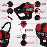 Service Dog Kit - Padded Harness Vest - Bridge Handle & ADA Cards