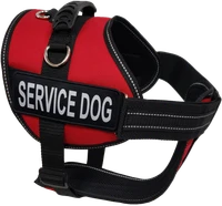 Air-Tech Service Dog vest with reflective patches